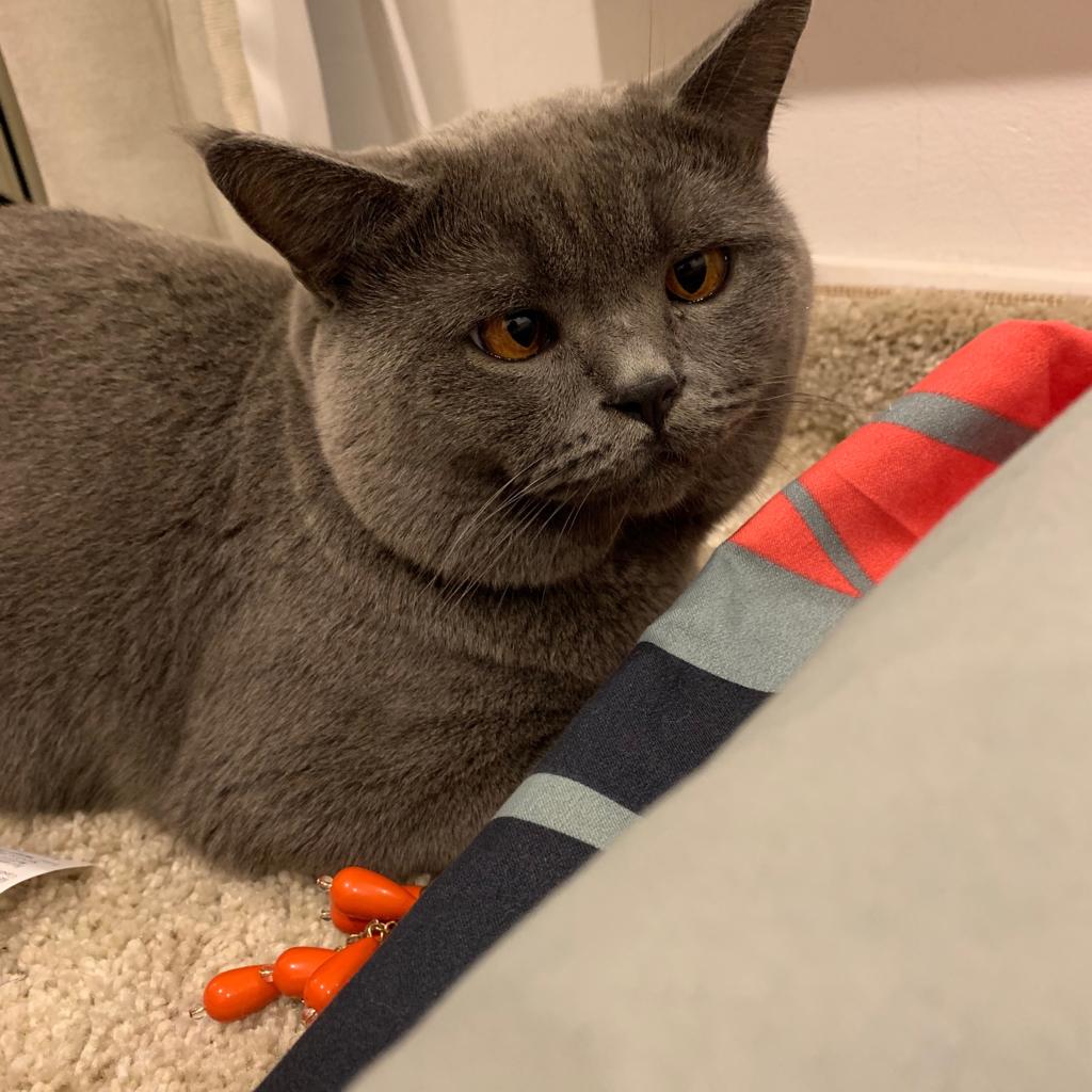 BSH For Sale
